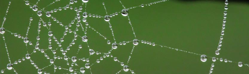 social-selling HN can help you do your social selling