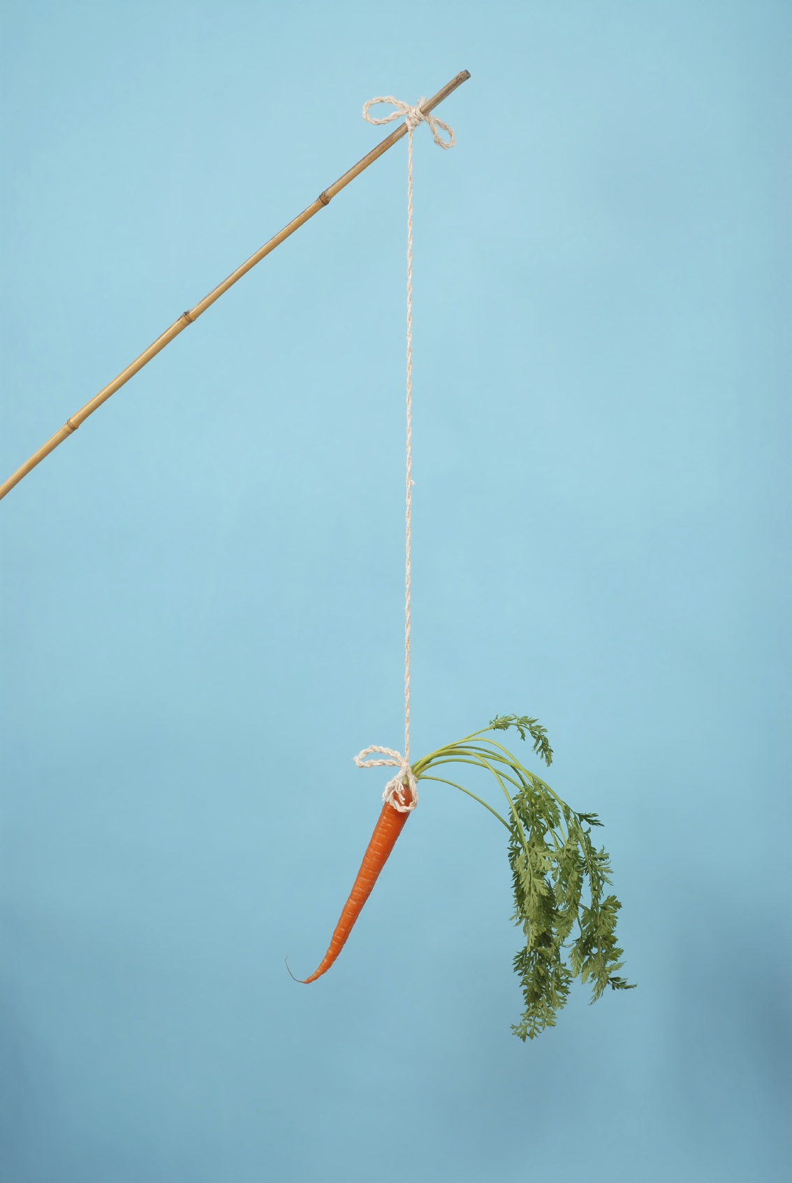 Which is more effective the carrot or the stick? HN Marketing