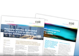 Colt - Multilingual case studies